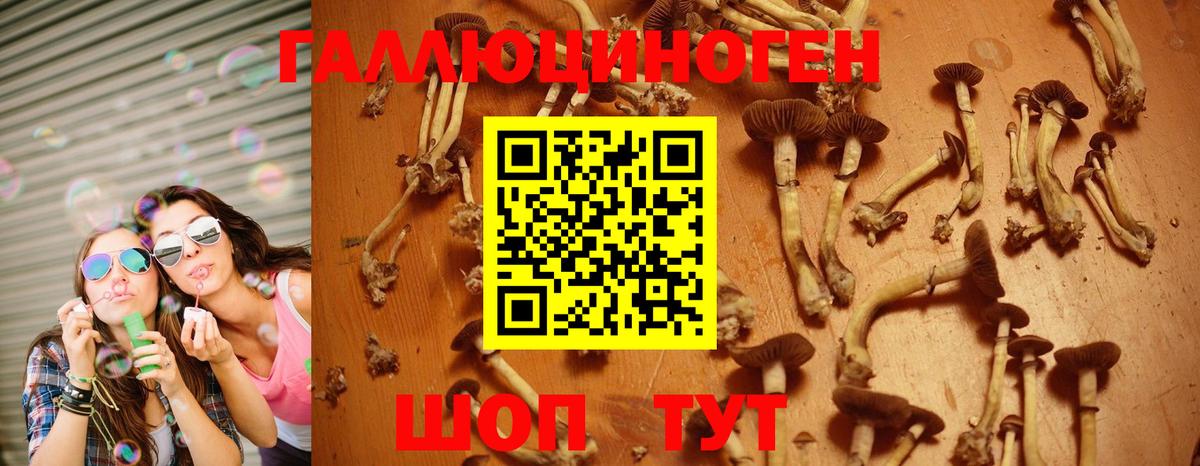 Кулебаки  Псилоцибиновые грибы Magic Shrooms  Вход с VPN 